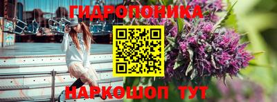 гидра Абакан