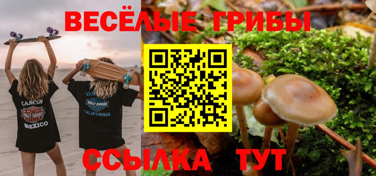 Псилоцибиновые грибы ЛСД  Вход с VPN  Надым 